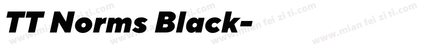 TT Norms Black字体转换